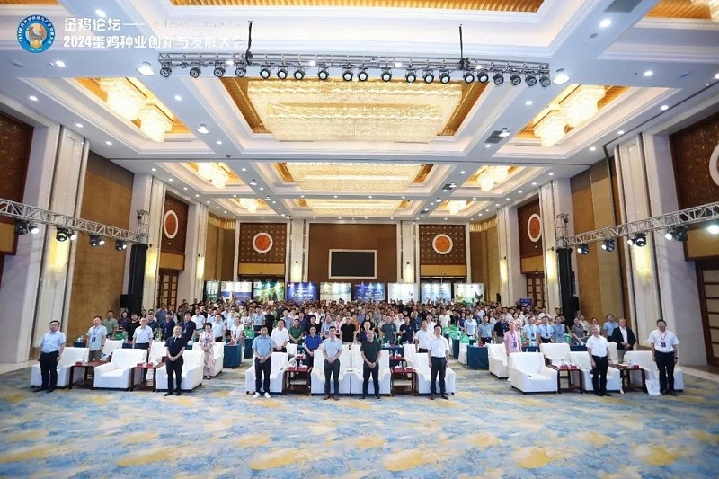 ����̳��Ļʽ