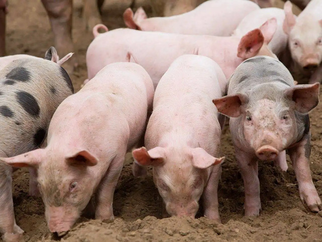 �＾������Ҫע��ʲô���������ƺ���Ҫ��һ��Ҫ�������ĵ�