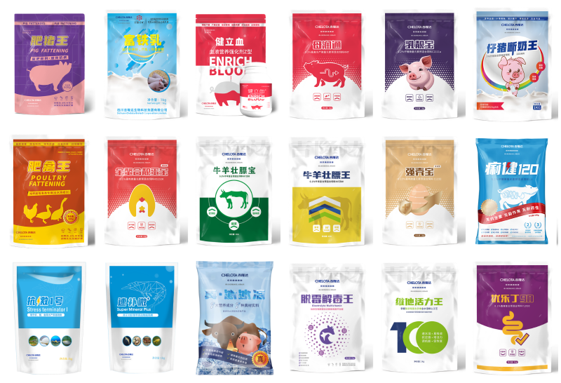 �Ĵ�bbin��ӯ����Ƽ��������޹�˾