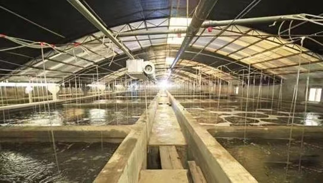 ��Ϻ��ˮ�ʵ�Ҫ��