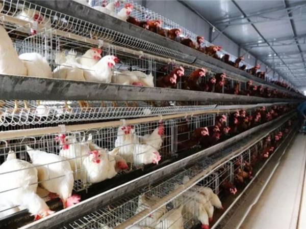 �����������½���ô����