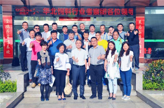 bbin��ӯ΢��Ԫ�ؼ�����Чɳ��