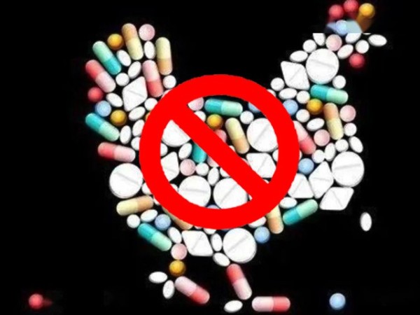 ��������������ϲ�ǲΰ룻�����Ż��������ƽ�������������