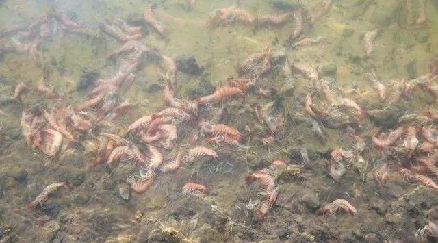 ��Ϻ͵��ԭ��