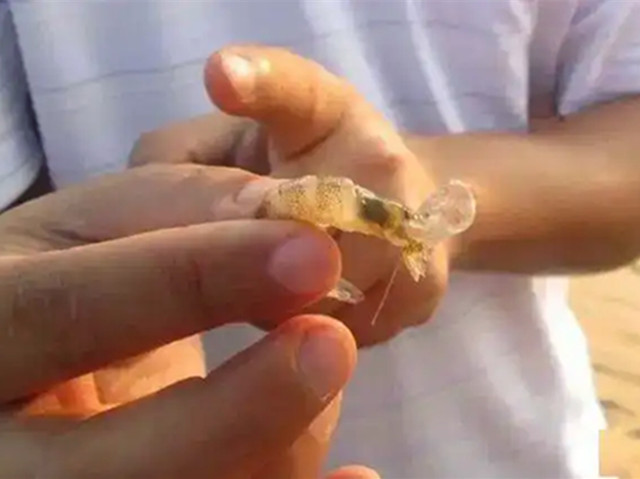 ��Ϻ�ɿǲ�����ôԤ��