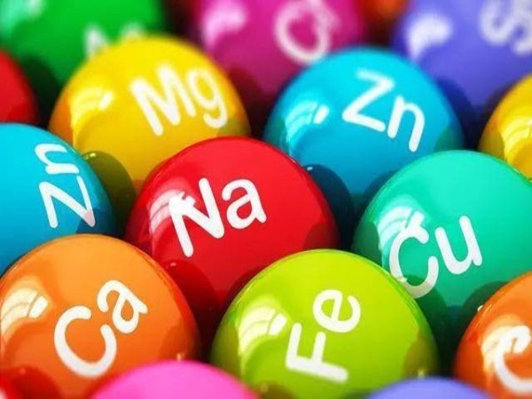 þ����Ӫ�����������е���Ҫ�ԣ�