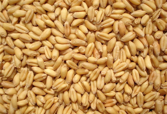 �������Ӽ�