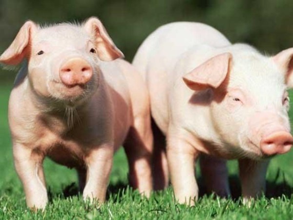 �ʰ���������������ʹ����ʲô�ô����б�Ҫȫ�����������������