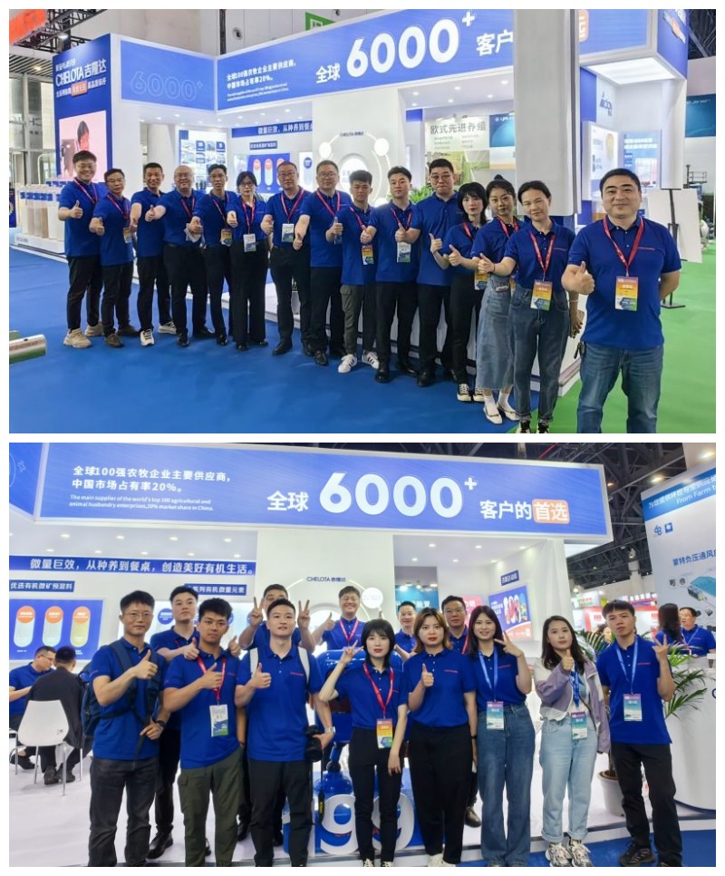 �󲩻�bbin��ӯ�����Ŷ�