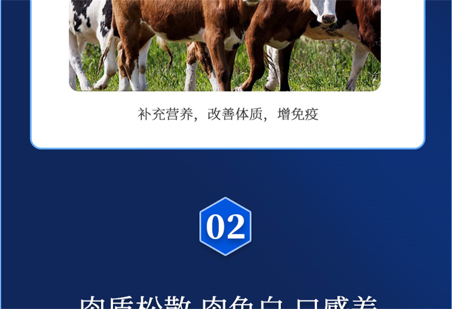 bbin��ӯ����ţ�������Ӽ���ţ����Ʒ����