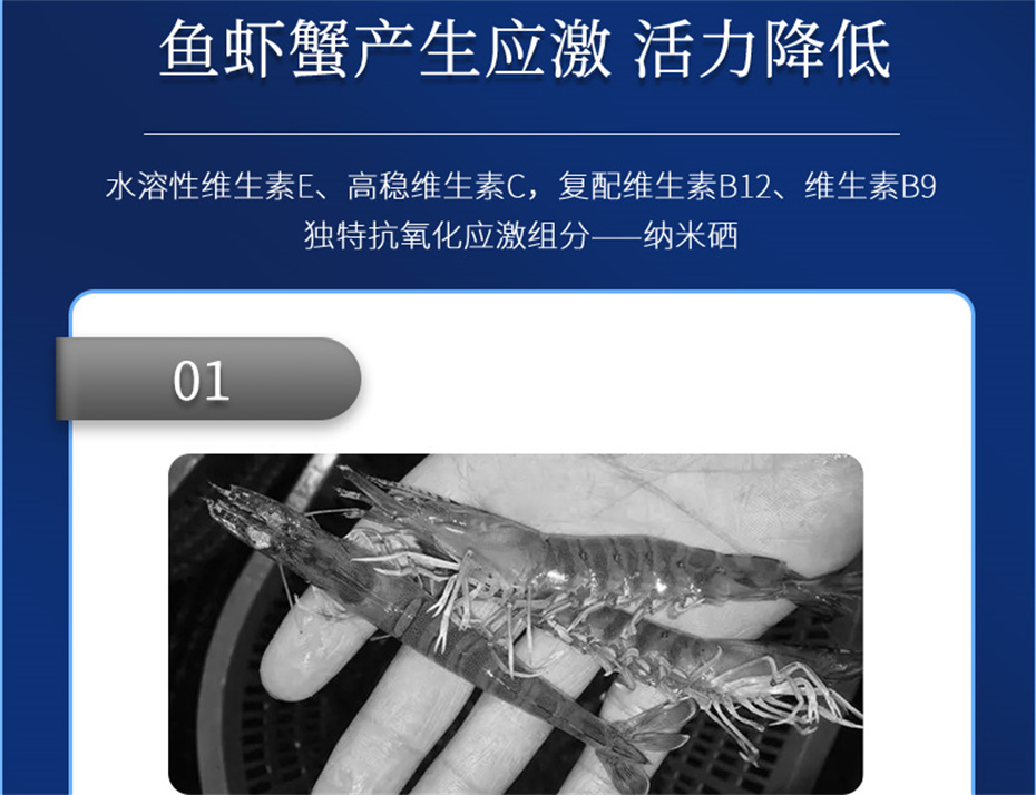 bbin��ӯ����ˮ���������Ӽ�����1�Ų�Ʒ����