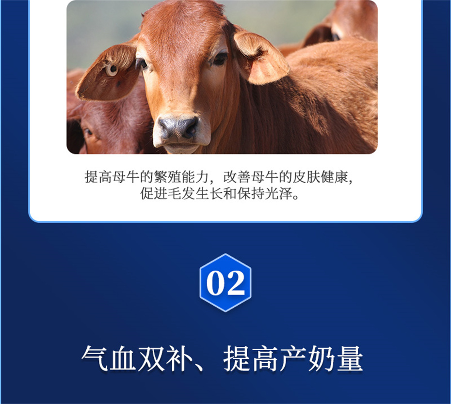 bbin��ӯ����ţ���������Ӽ�����Ѫţ���Ʒ����