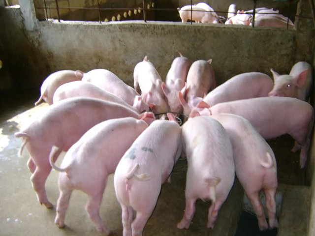 ������ʱ��