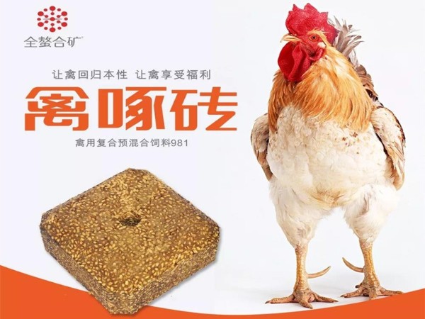 ����ש�������������ܸı�ʲô��