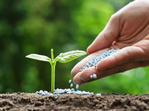 �߲������ʩ����