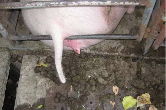 ĸ�����ص�����