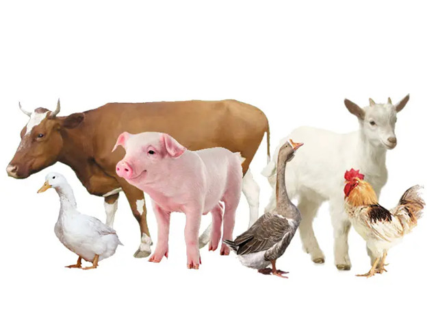 �������Ӽ�ʹ�õ��������