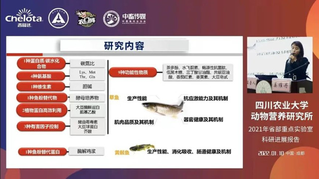 ��ά������������