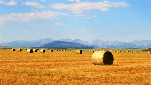 ���������Ӽ�