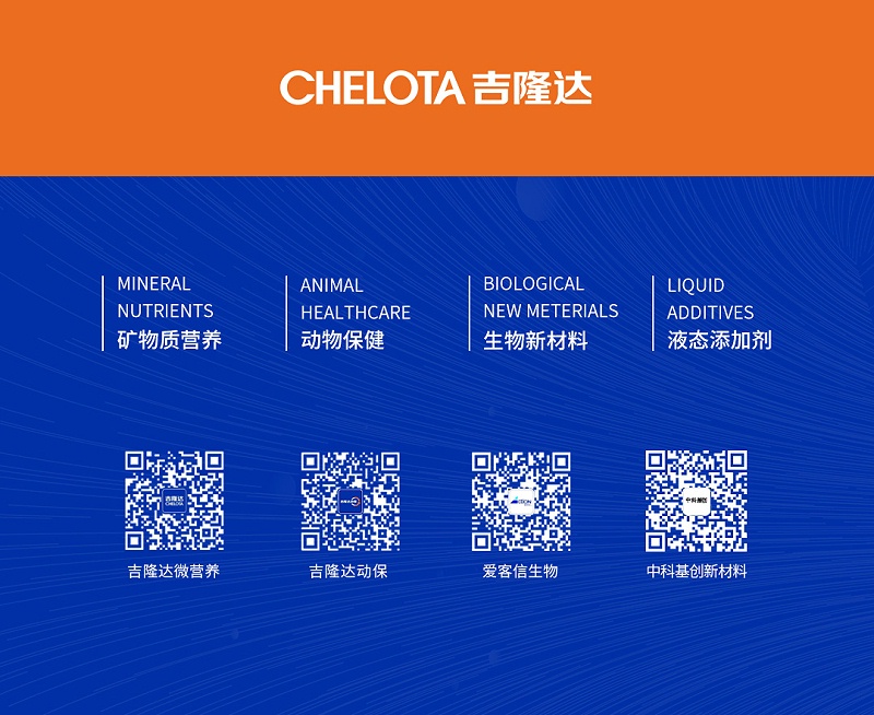 bbin��ӯ����