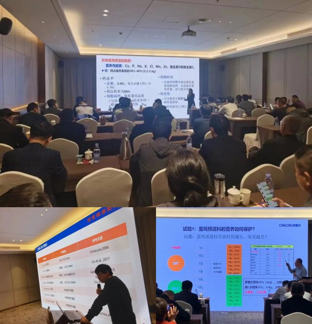 �й��׽쵰�½�����̳