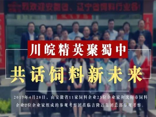 ����������ҵ�ι��л�΢��Ԫ�س���bbin��ӯ