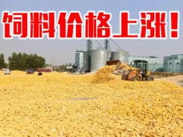 �ں����ϼ۸��ٴ����ǣ����ϳ�Ҳ�п࣡�ﶬ������Ҫ�Եø�������