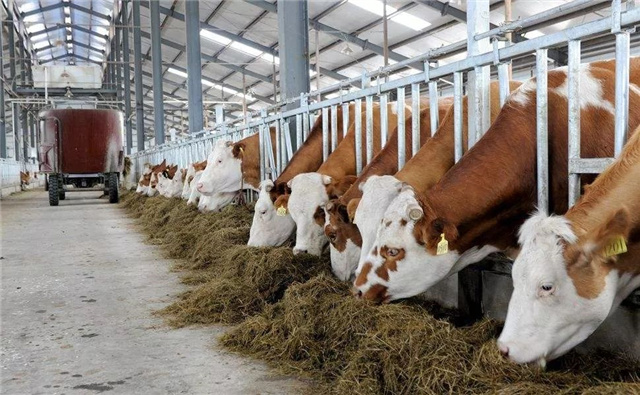 �������Ӽ�