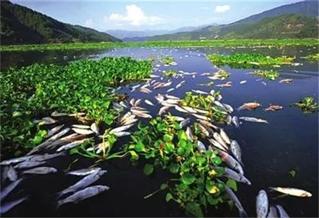 ������ֳ��Ⱦ