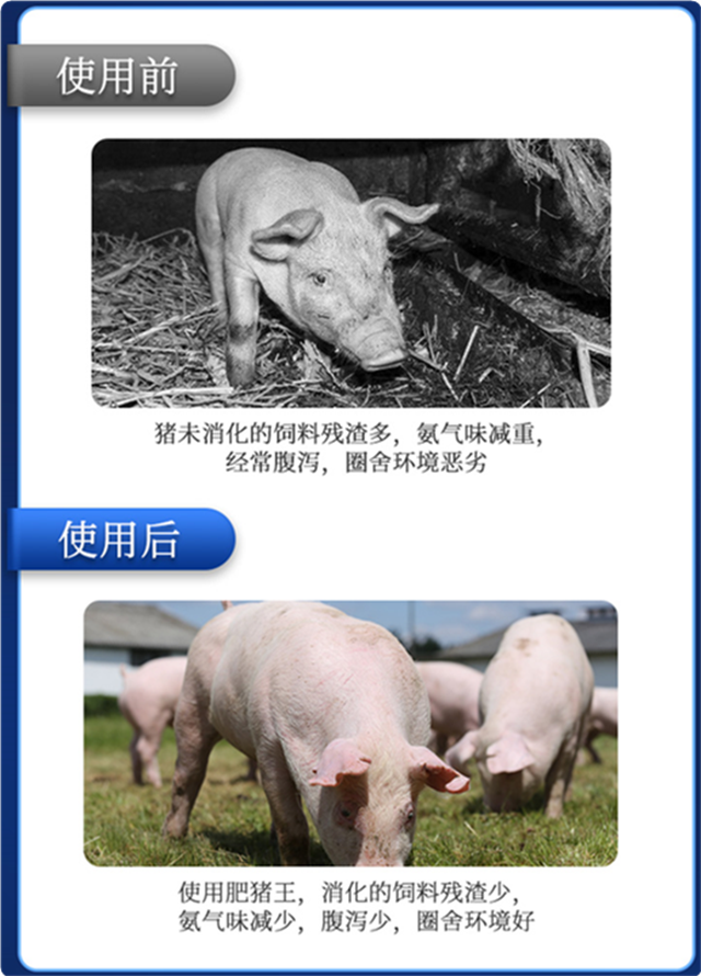 bbin��ӯ-������ʹ��Ч��