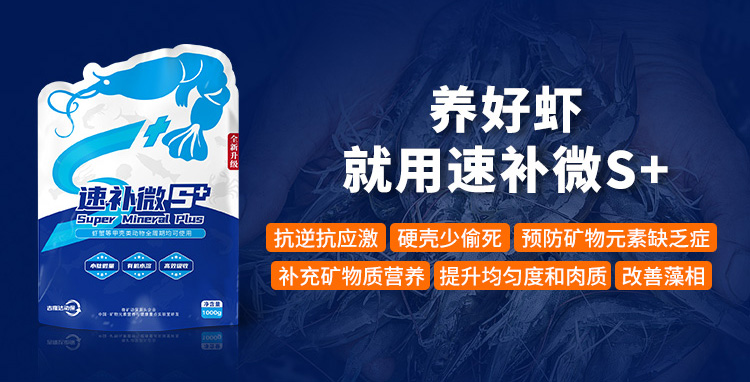 ����Ϻ�������ٲ�΢s+