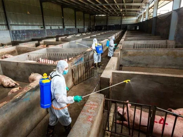 �����������ش�ʩ