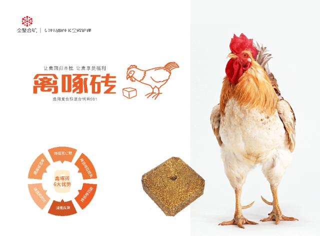 �л�΢��Ԫ�س���bbin��ӯ����ש