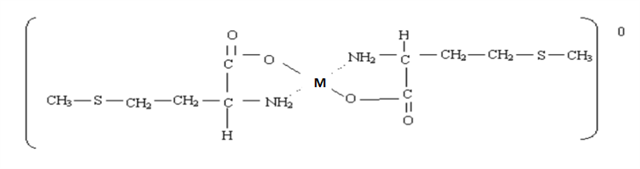 bbin��ӯ�л�΢��