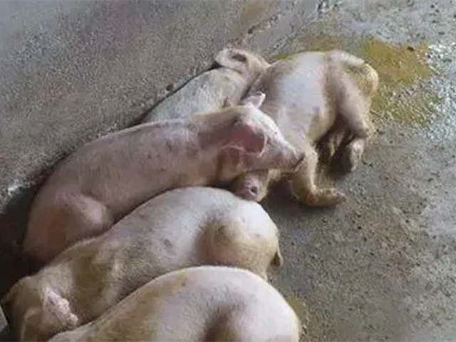 ������������2022�궬����������������к֢״�������������������ղأ�