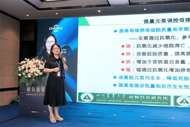 �������Ӽ�Ż����