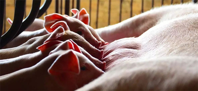 bbin��ӯ�������п��Ӧ��