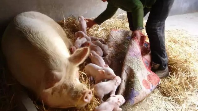 ĸ������̱����ô����