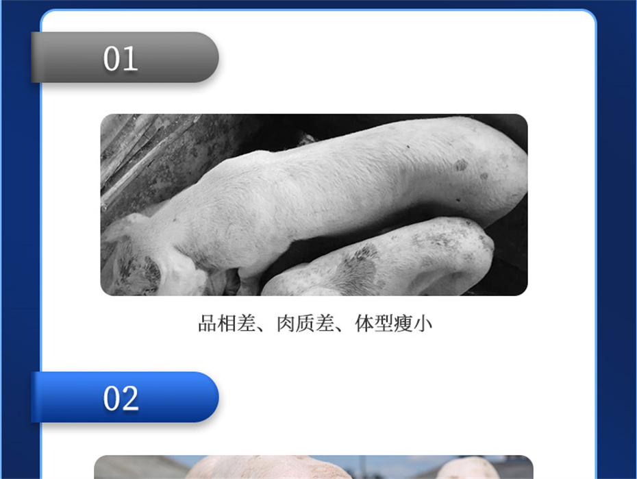 bbin��ӯ�������������Ӽ�ĸ��ͨ��Ʒ����