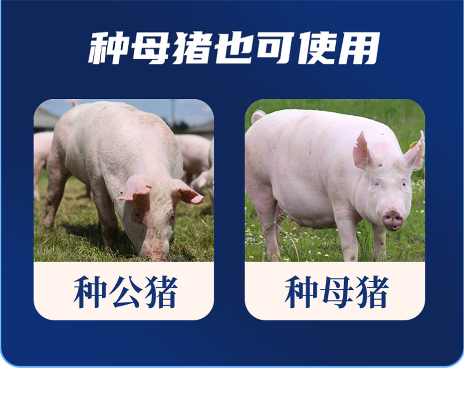 bbin��ӯ�������������Ӽ���ֳ����Ʒ����