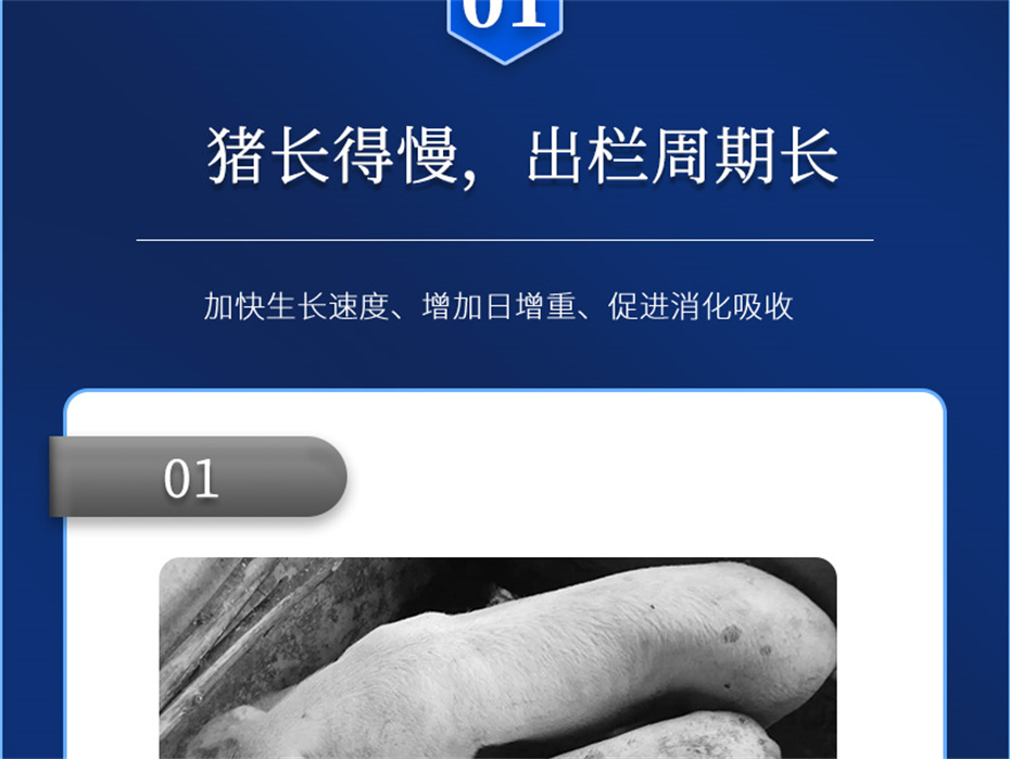 bbin��ӯ�������������Ӽ���������Ʒ����