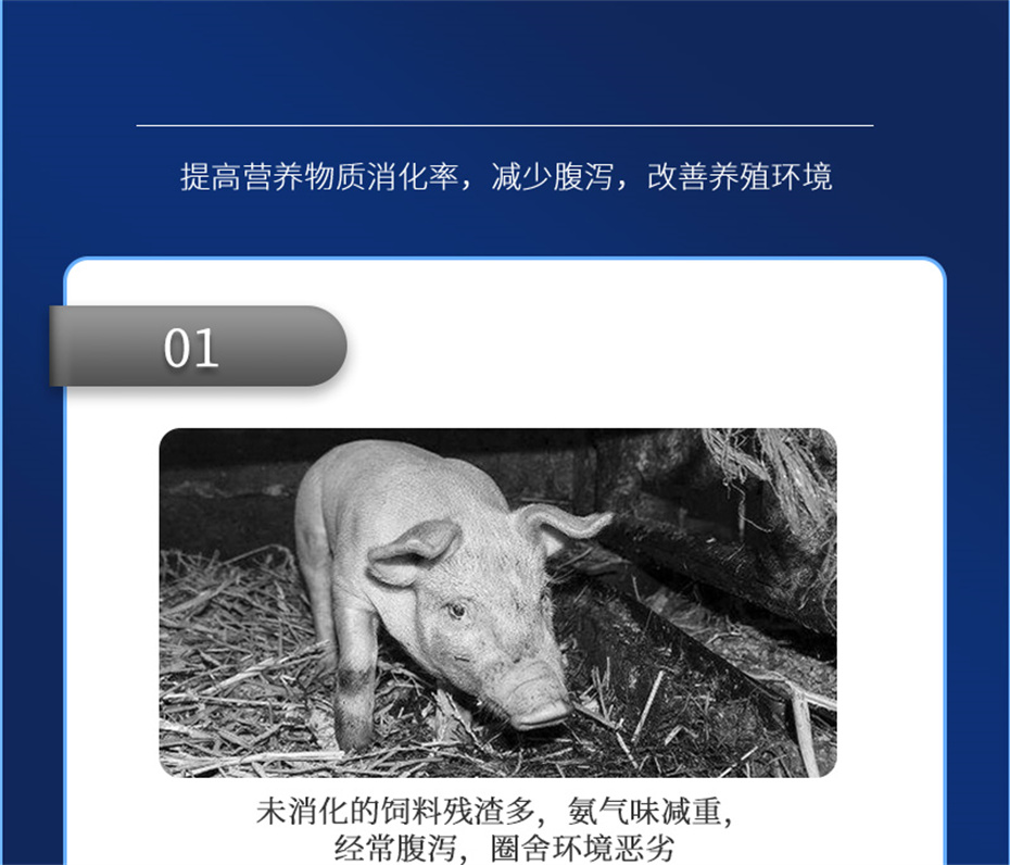 bbin��ӯ�������������Ӽ���������Ʒ����