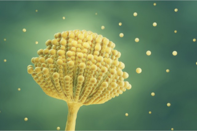 ù�����ط��ش�ʩ