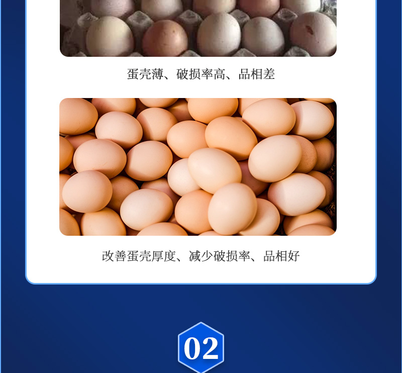 ǿ����ʦ��������ҳ_03