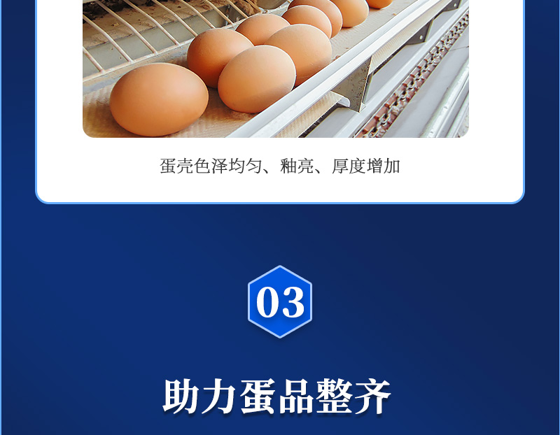 ǿ����ʦ��������ҳ_05