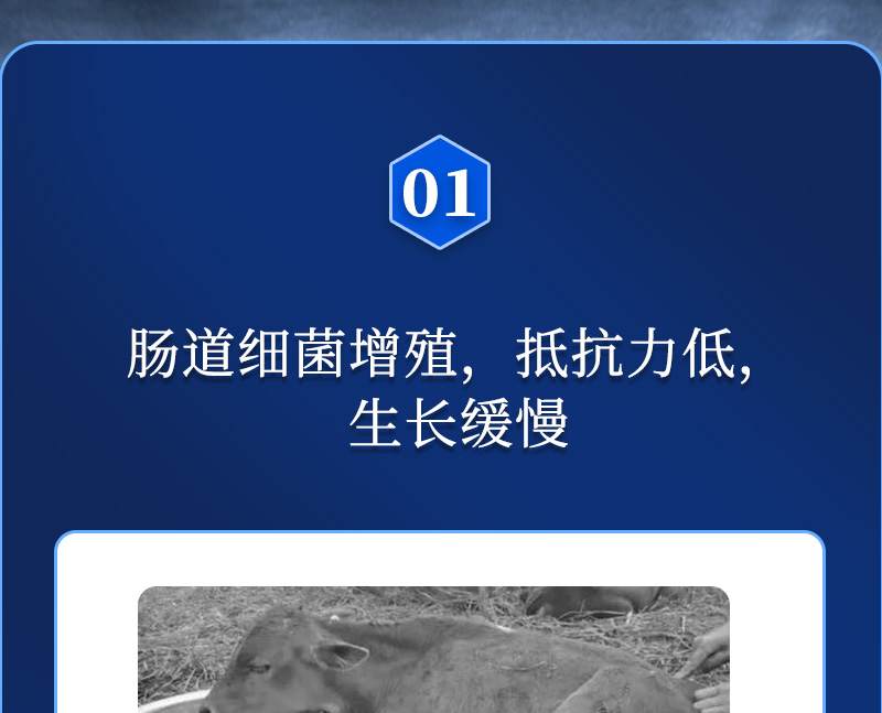 ���������_02