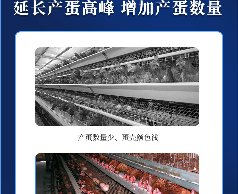 �൰��ʦ��������ҳ_04