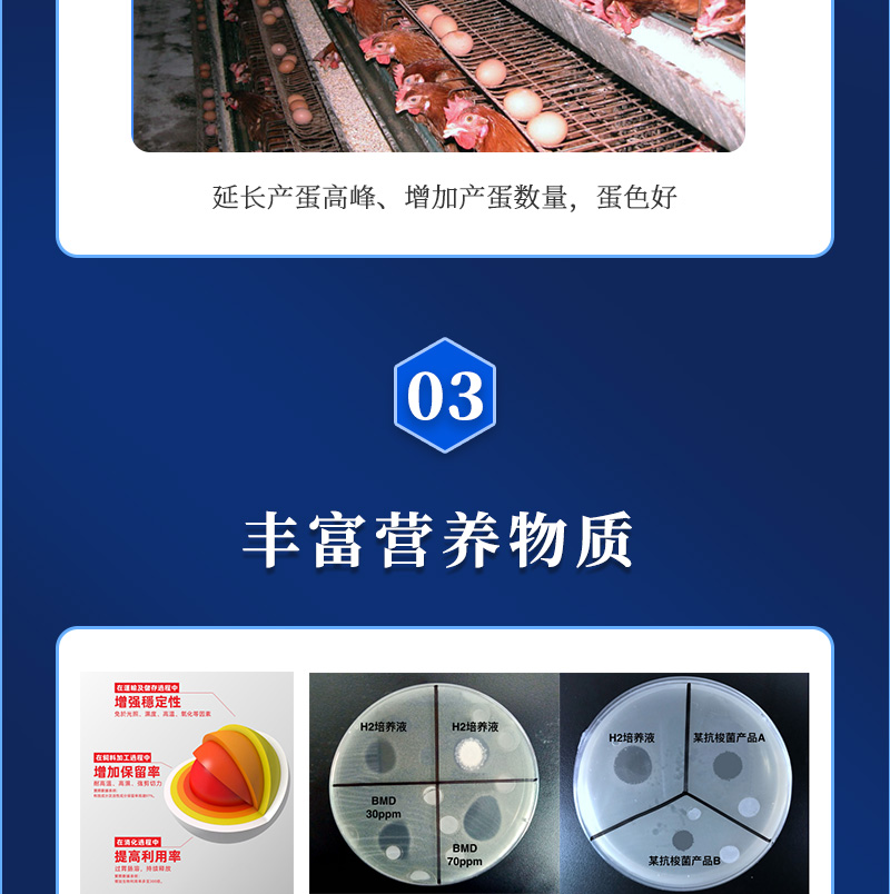 �൰��ʦ��������ҳ_05