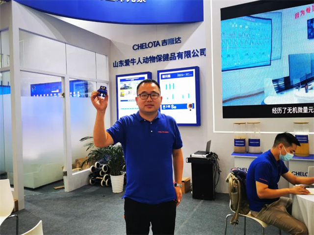 bbin��ӯ����IP���󡰴󼪡�