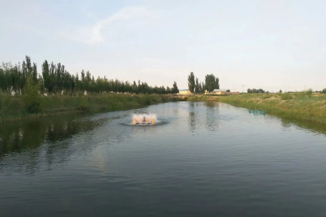 ��Ϻ�����ʱ��